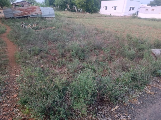 7 lakhs only 4.20 cent land For Sale